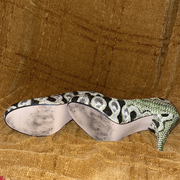 Reptile - Picture 5 of 5